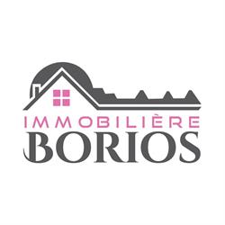 IMMOBILIERE BORIOS - IMMOBILIER CHALON SUR SAONE, Chalon-sur-Saône - Horaires d'ouverture