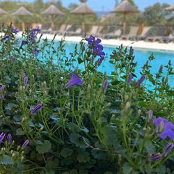 Camping Clicochic - Sources de Gordes, - Horaires d'ouverture