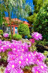 Villa Rocaille, Cassis - Horaires d'ouverture