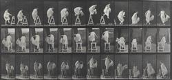 Méthode Feldenkrais - Christel Dalon, Courzieu - Horaires d'ouverture