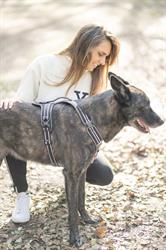 Ananda Coaching et Communication Animale, Villeneuve-Loubet - Horaires d'ouverture
