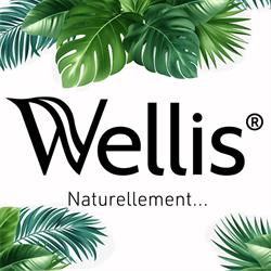 Wellis Magasin de Spas Perpignan, - Horaires d'ouverture