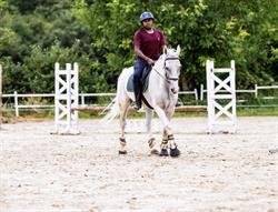 Brisac Equiteam., Égriselles-le-Bocage - Horaires d'ouverture