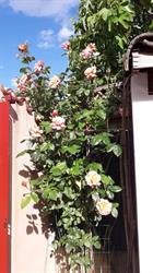 Gîte Le Bon Accueil en Cévennes, Ribaute-les-Tavernes - Horaires d'ouverture