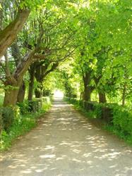 CHÂTEAU DE BUFFAVENT, Denicé - Horaires d'ouverture