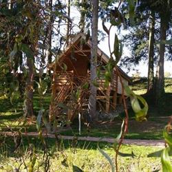 Les cabanes de la petite sapinière, Voussac - Horaires d'ouverture