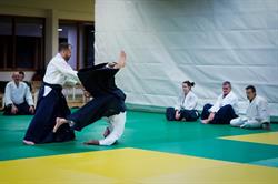 Aikido Club La Roche-sur-Foron, - Horaires d'ouverture