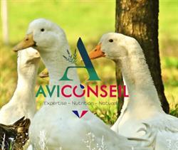 Aviconseil, Saint-Nicolas-de-la-Grave - Horaires d'ouverture