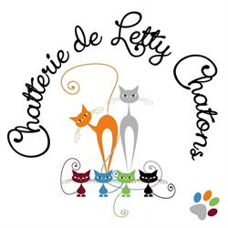 Chatterie de Letty Chatons British Shorthair et Longhair, Toulon - Horaires d'ouverture