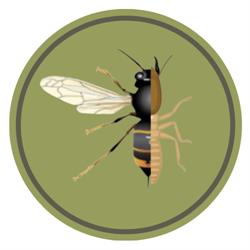 Solutions Termites Habitat, Saint-Julien-en-Born - Horaires d'ouverture