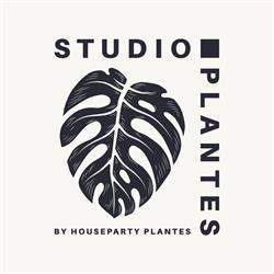 Studio Plantes, Strasbourg - Horaires d'ouverture