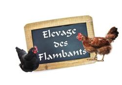 Elevage Des Flambants, Lagardelle-sur-Lèze - Horaires d'ouverture