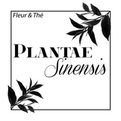 Plantae Sinensis, Osny - Horaires d'ouverture