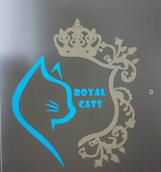 Pension féline Royal cats, Les Moitiers-en-Bauptois - Horaires d'ouverture