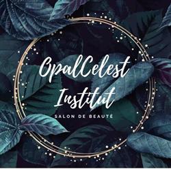 OpalCelest Institut, Vic-sur-Seille - Horaires d'ouverture