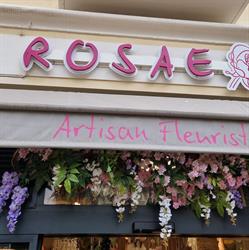 Rosae, Hyères - Horaires d'ouverture