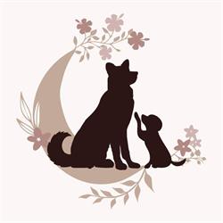 Salon Okami, Rouvroy - Horaires d'ouverture
