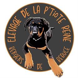 ELEVAGE DE LA P'TIOTE REINE, Menesble - Horaires d'ouverture