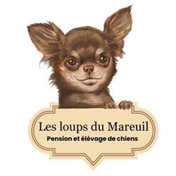 Les loups du Mareuil, Villeneuve-de-Marsan - Horaires d'ouverture