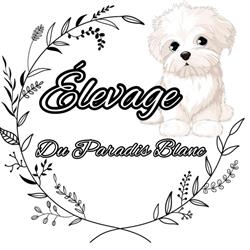 Elevage du paradis blanc/ bichon maltais, Iwuy - Horaires d'ouverture