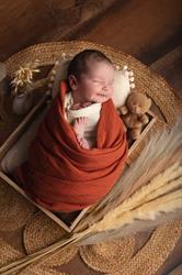 Laura's Lens Photography, Cranves-Sales - Horaires d'ouverture