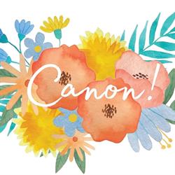 SARL Savonnerie Canon ! Savons et cosmétiques artisanaux, Faches-Thumesnil - Horaires d'ouverture