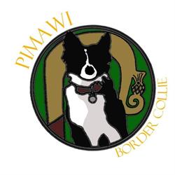 PIMAWI Border Collie, Limoux - Horaires d'ouverture