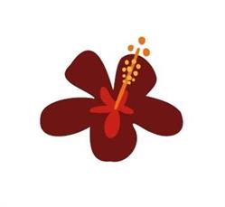 Centre Hibiscus, Toulouse - Horaires d'ouverture