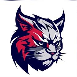 Terrain de Baseball des Lynx d'Angouleme, Angoulême - Horaires d'ouverture