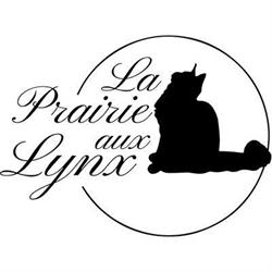 chatterie de la prairie aux lynx, Guipy - Horaires d'ouverture
