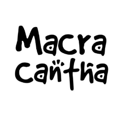 Macracantha création, Nîmes - Horaires d'ouverture