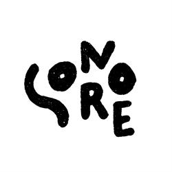 SONORE LILLE, Lille - Horaires d'ouverture