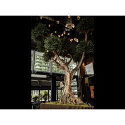 Duo Bar, Paris - Horaires d'ouverture