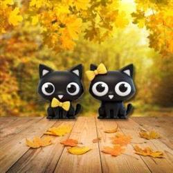 Moustache & Ronron, Hôtel et Boutique pour chats- Pension féline dans le Morbihan, Lorient - Horaires d'ouverture