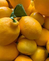 Lemon Story, Paris - Horaires d'ouverture