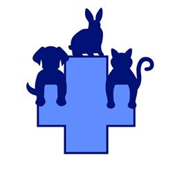 CLINIQUE VETERINAIRE DES BOURBONS, Montluçon - Horaires d'ouverture