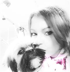 Amour des Chiens, Le Fleix - Horaires d'ouverture