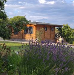 La Truffière Village de Gîtes - Locations de vacances en Dordogne proche de Sarlat, Orliaguet - Horaires d'ouverture