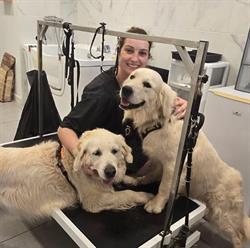 Les ciseaux d'or d'Amandine, Roquebrune-sur-Argens - Horaires d'ouverture
