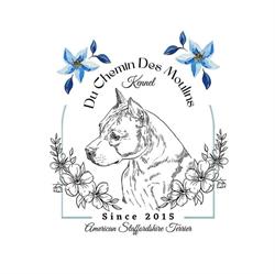 Élevage du chemin des moulins - American Staffordshire Terrier LOF, Saint-Martin-de-Fontenay - Horaires d'ouverture