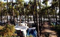 GCU La Tranche-sur-Mer - Horaires d'ouverture