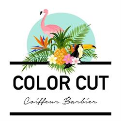 Color cut, Courrières - Horaires d'ouverture