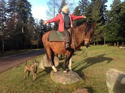 Equi Plaisirs, Wangenbourg-Engenthal - Horaires d'ouverture