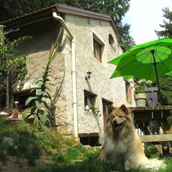 La Petite Stella (previously La Petite Frida), Plombières-les-Bains - Horaires d'ouverture