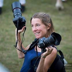 Dub'S Photographie, Pleslin-Trigavou - Horaires d'ouverture