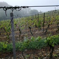 Vins Pascal PAGET, Chignin - Horaires d'ouverture
