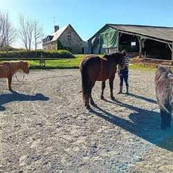 Eco ferme pédagogique de Chambesne, centre équi social, Savigny-le-Vieux - Horaires d'ouverture