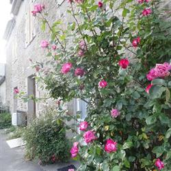 Parfum D'embruns, Hirel - Horaires d'ouverture
