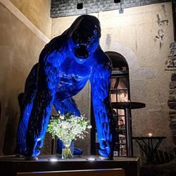 Le Gorille Bleu, Rennes - Horaires d'ouverture
