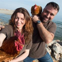 LA FERME A PLAGE DOMAINE EY TORREILLES, Torreilles - Horaires d'ouverture